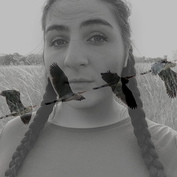 littledarkling